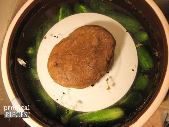 Crock Dill Pickles