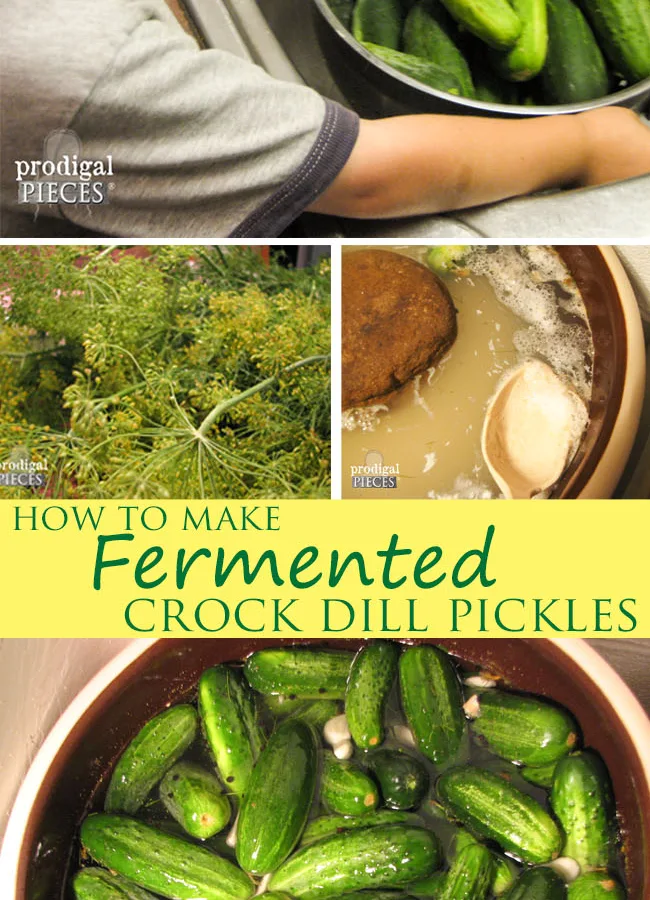 Refrigerated Crock Pickles