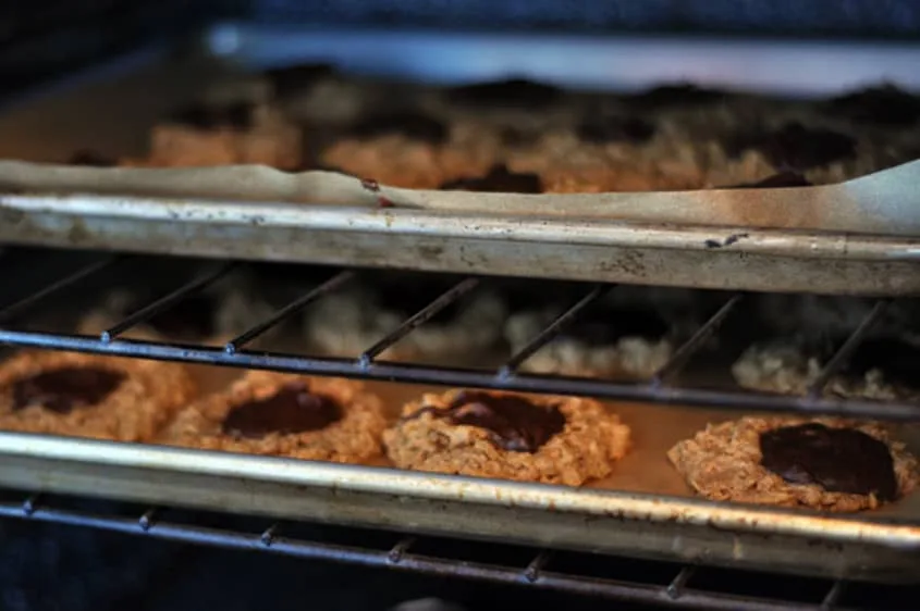 Andy's Favorite Oatmeal Fudge Cookies
