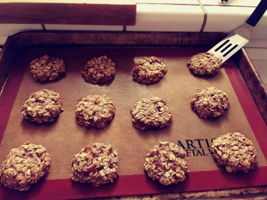 Applesauce-Granola Cookies