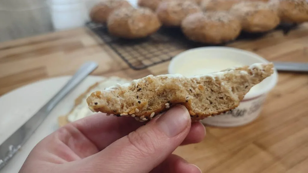 WHOLE WHEAT BAGELS - PAN-1