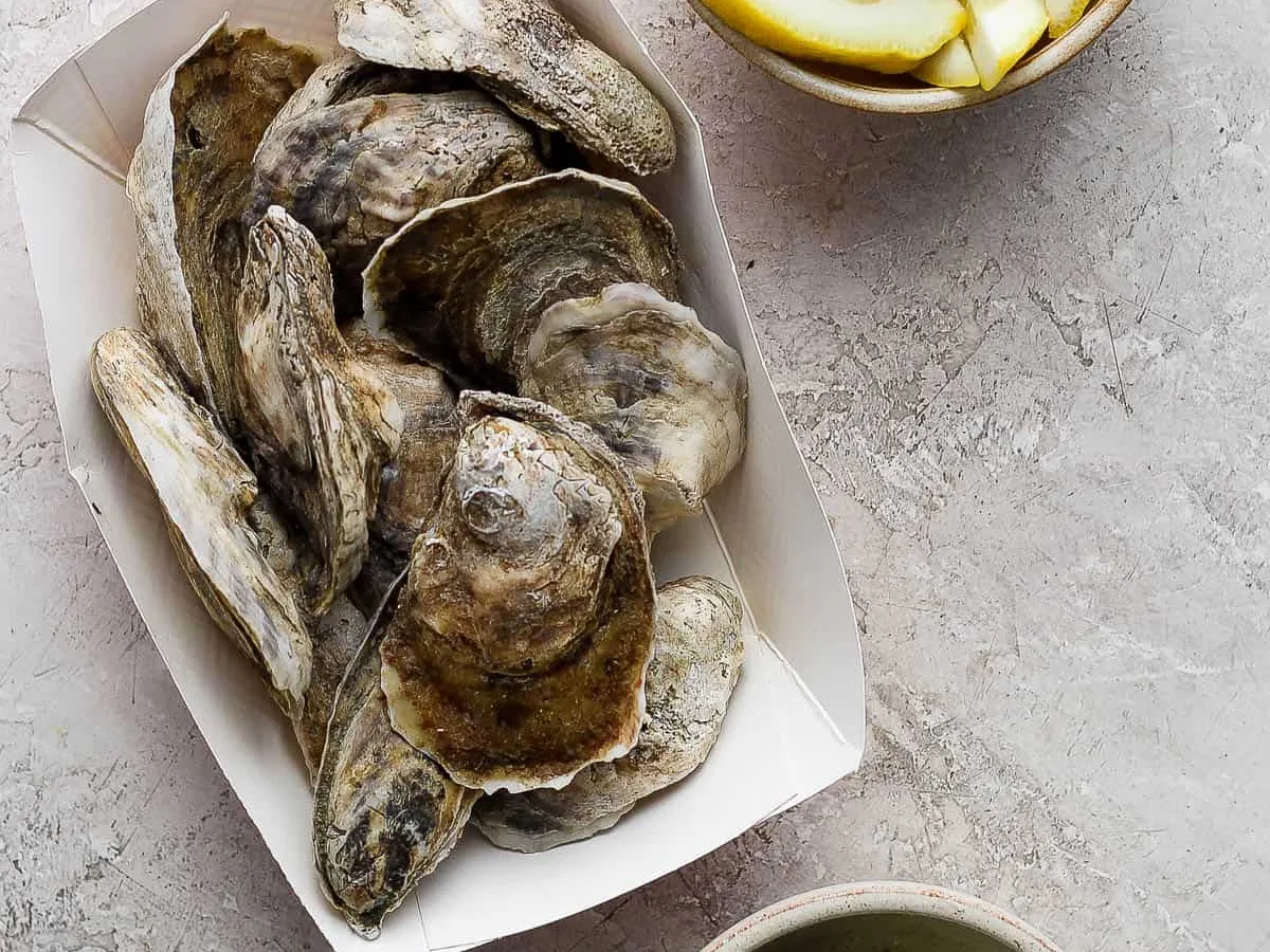 Barbecued Oysters