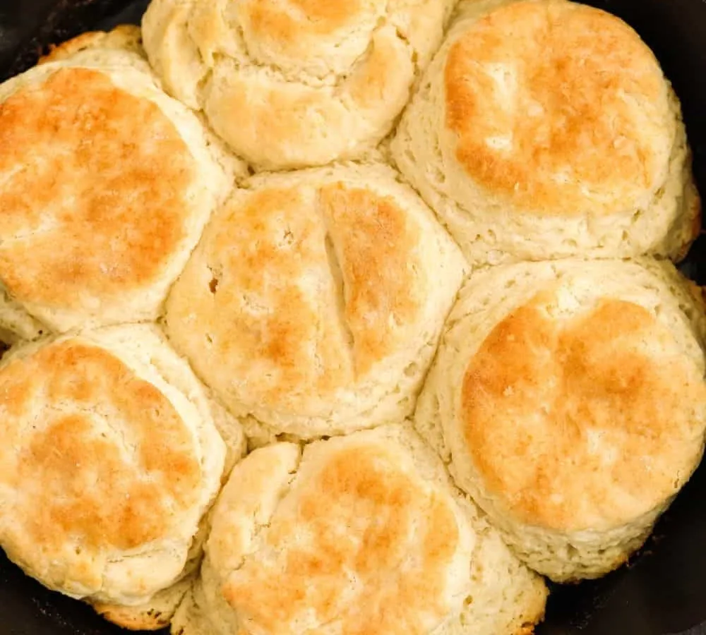 Bisquick Biscuits
