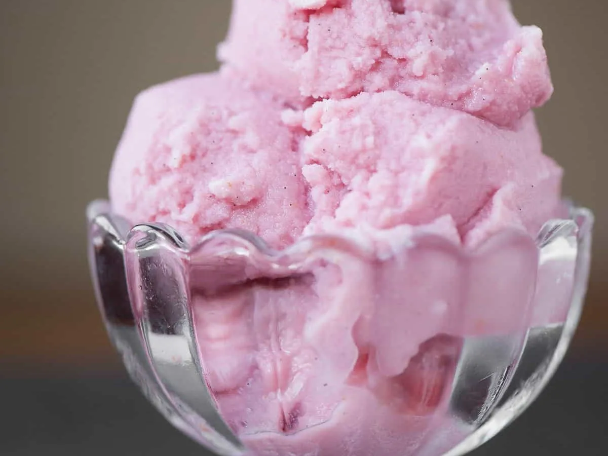 Blood Orange Sherbet