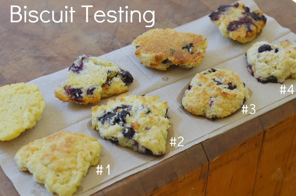 Blueberry Buttermilk Biscuits
