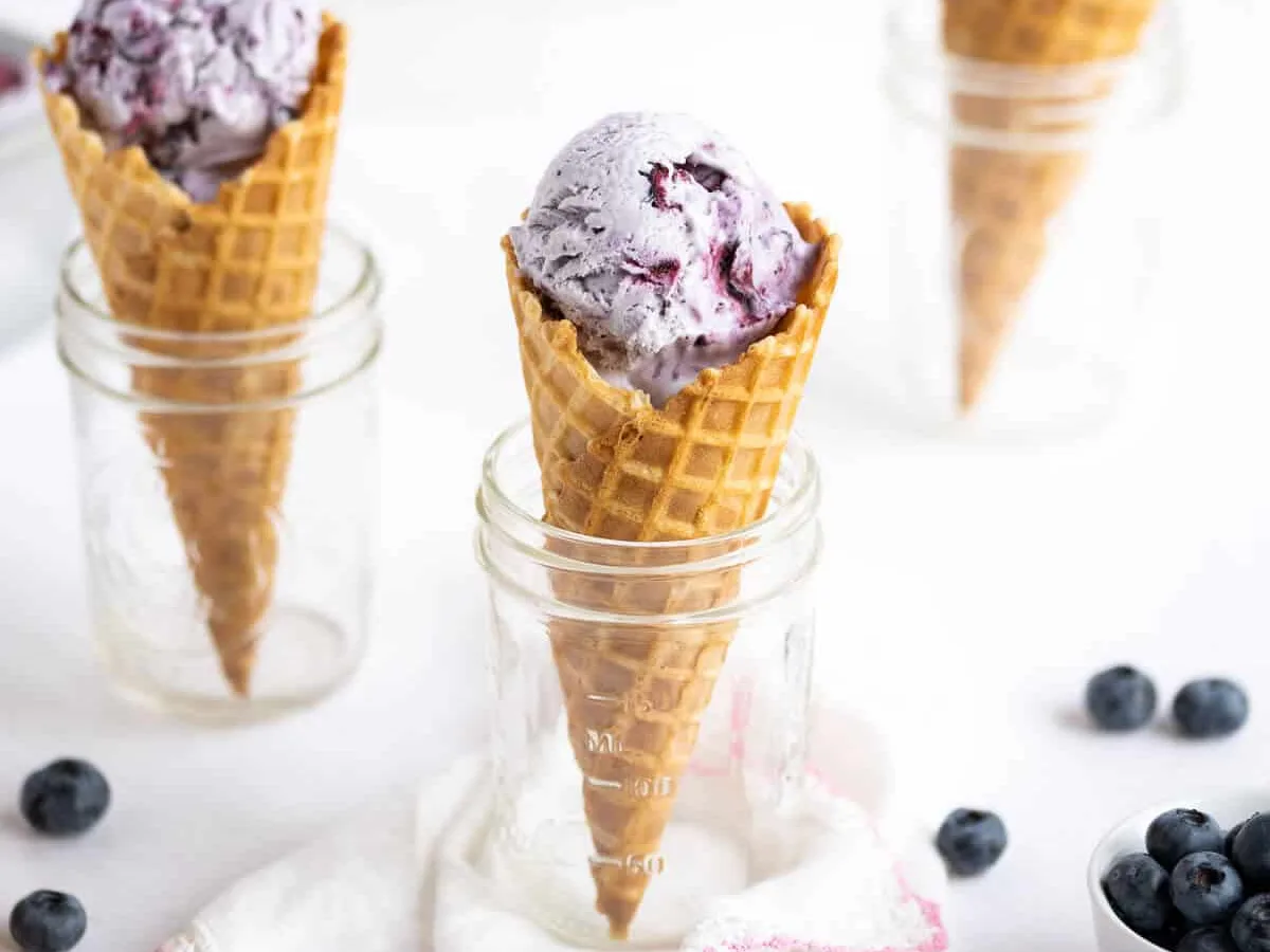 Blueberry Ice Cream