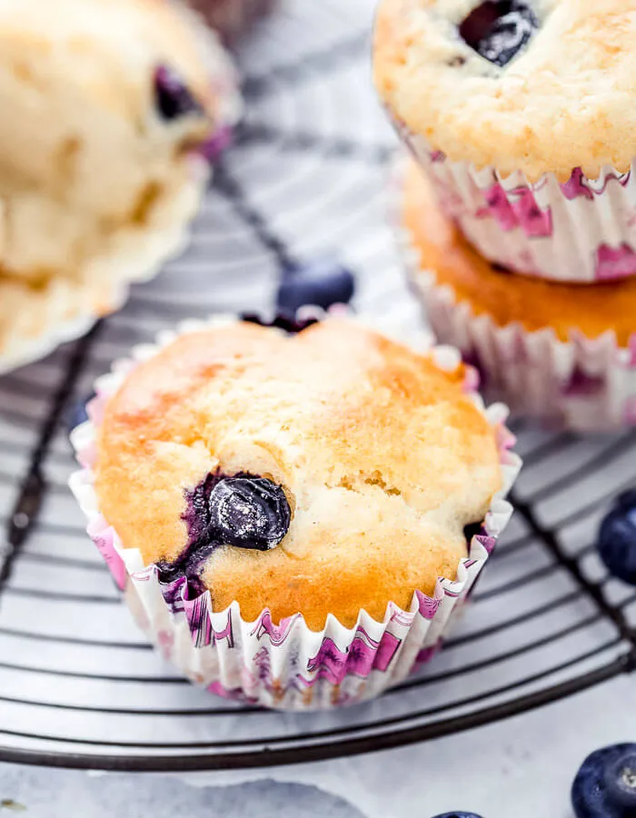 Blueberry Muffins