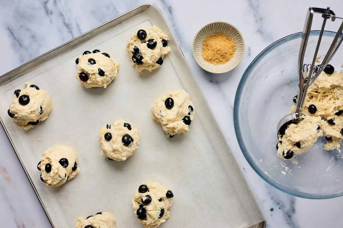 Blueberry Oatmeal Drop Biscuits