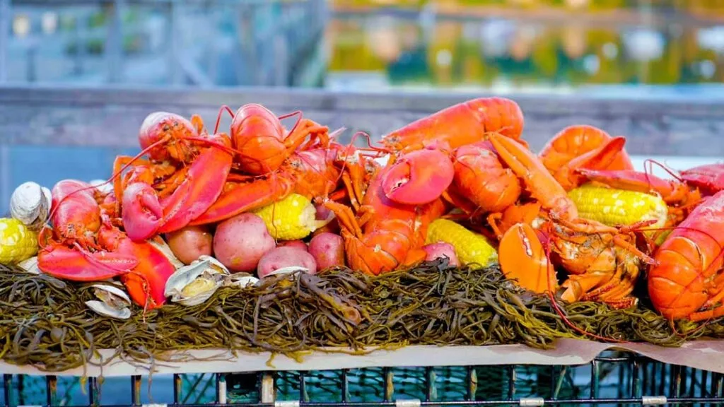 Boiled State of Maine Lobster