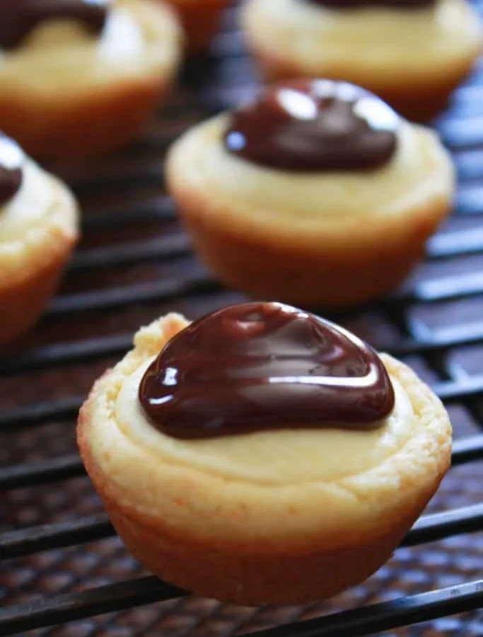 Boston Cream Pie