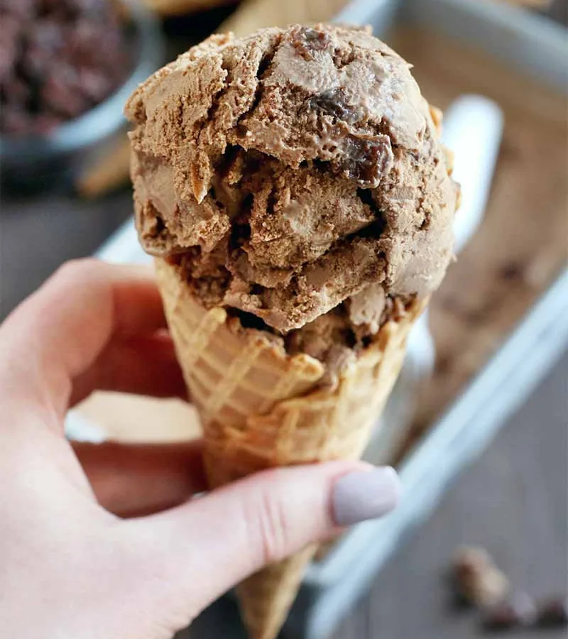 Brach's Chocolate Rum Raisin Ice Cream