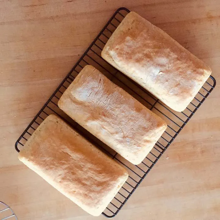Bread Sponge
