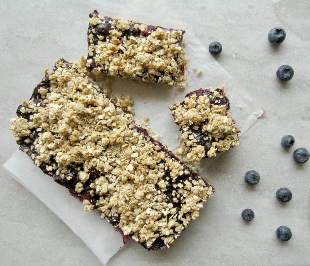 Burden of Proof Blueberry Squares
