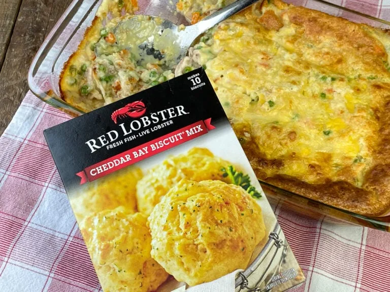 Cat Litter Casserole