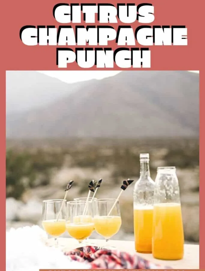 Champagne Punch