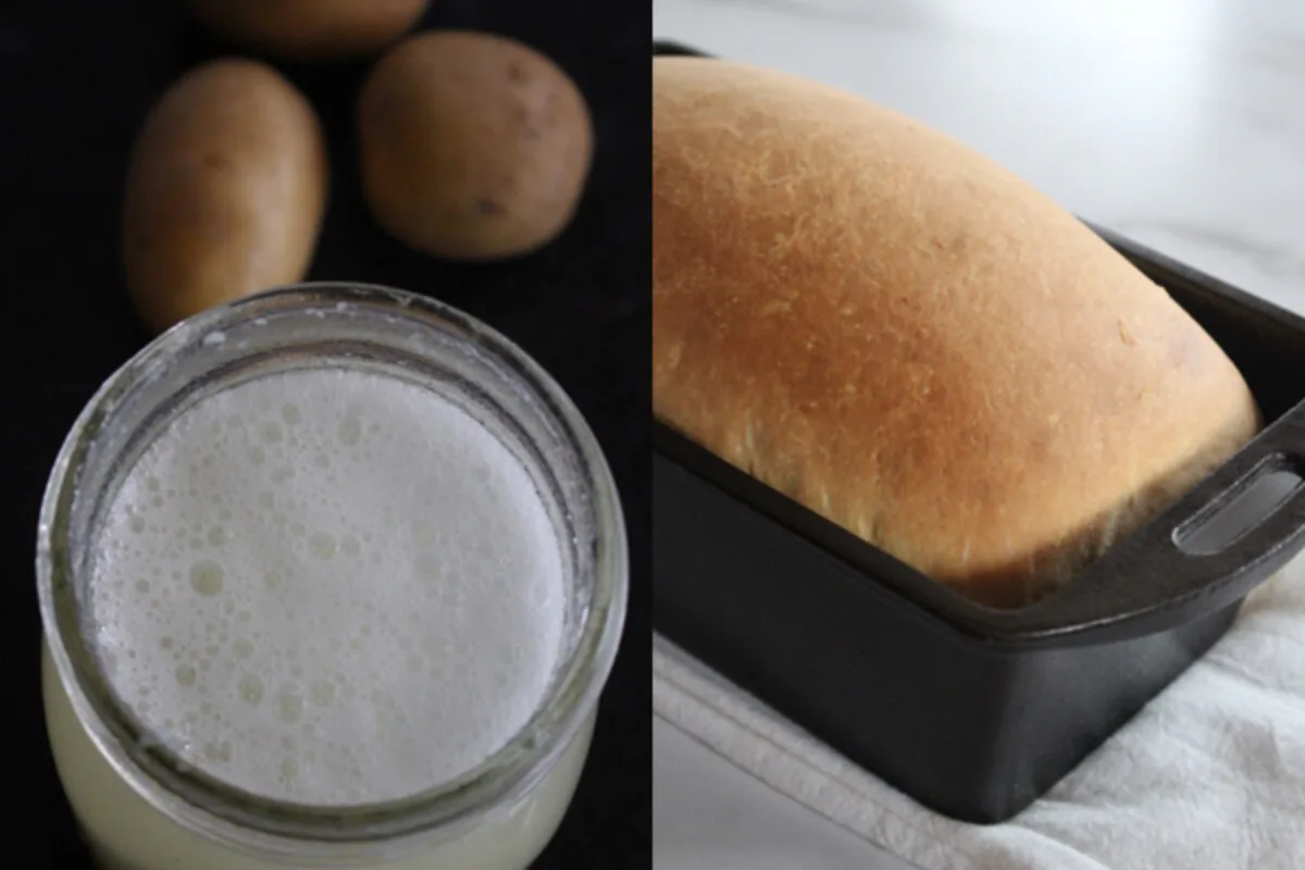 Cheesy Potato Casserole Bread