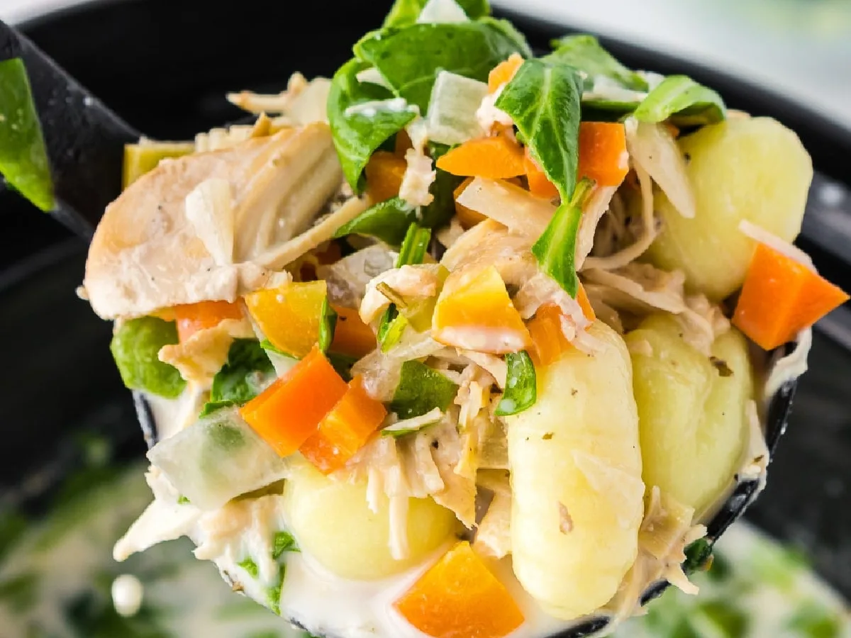 Chicken soup - slow cookery