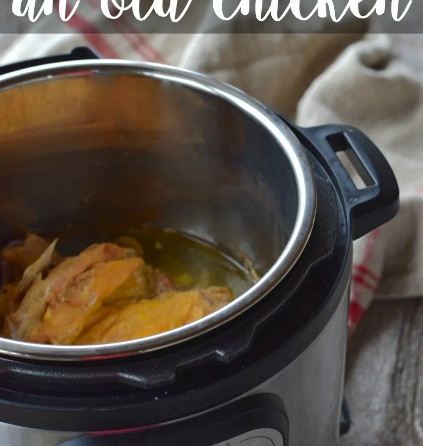 Chicken Soup