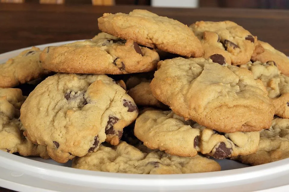 Chocolate Chocolate Chip Cookies