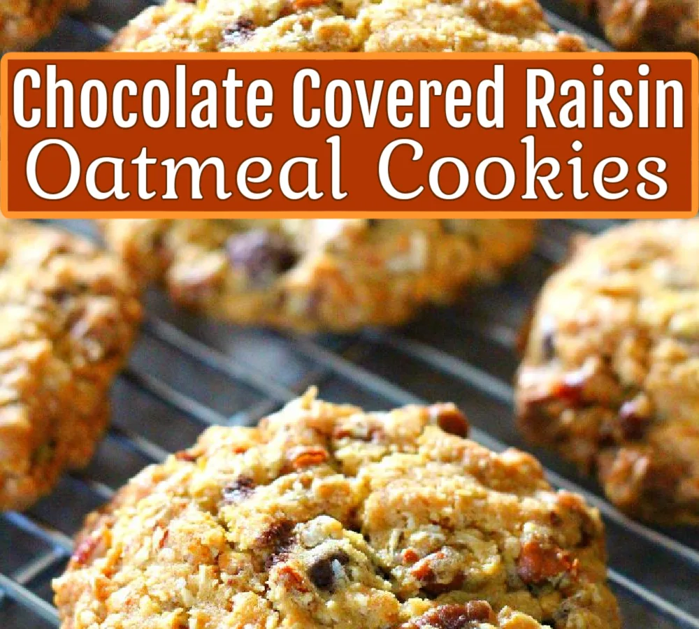 Chocolate Covered Raisin Cookies