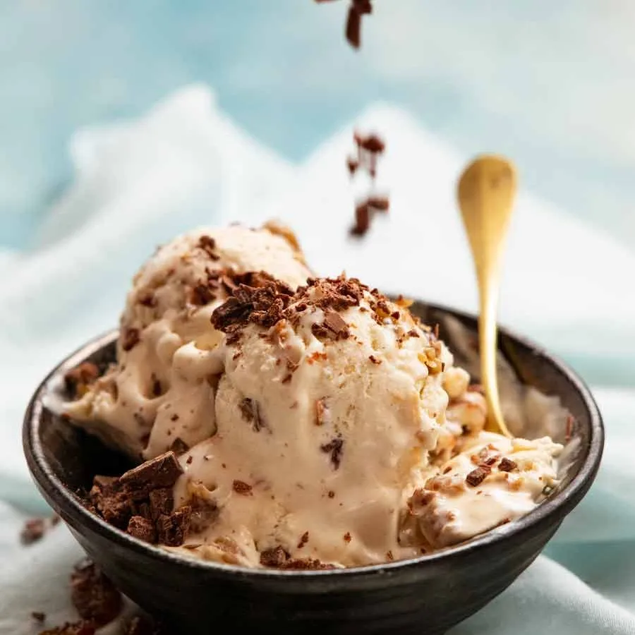 Chocolate Rum Raisin Ice Cream