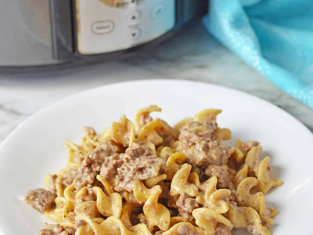 Crockpot Beef Stroganoff I