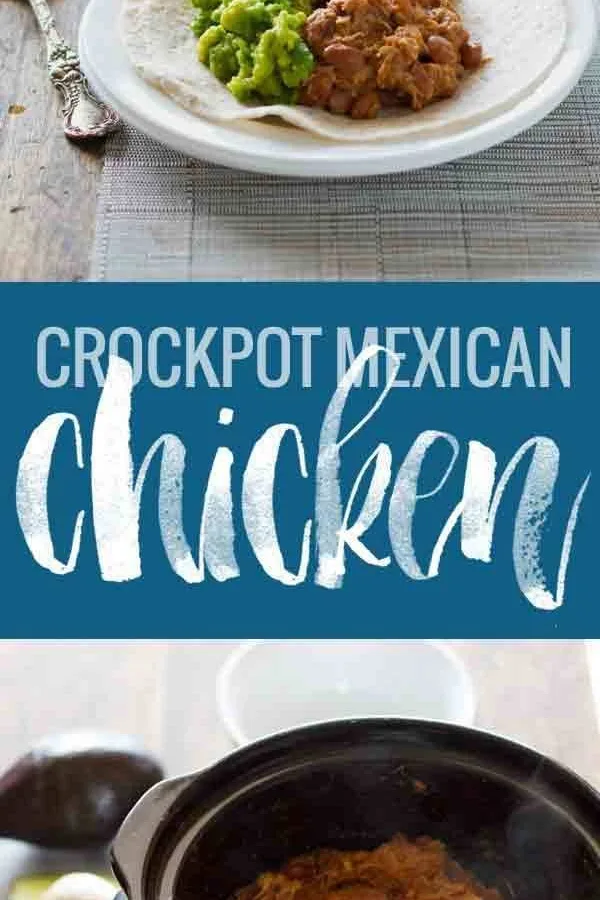 CROCKPOT CHICKEN STEW MEXICAN STYLE