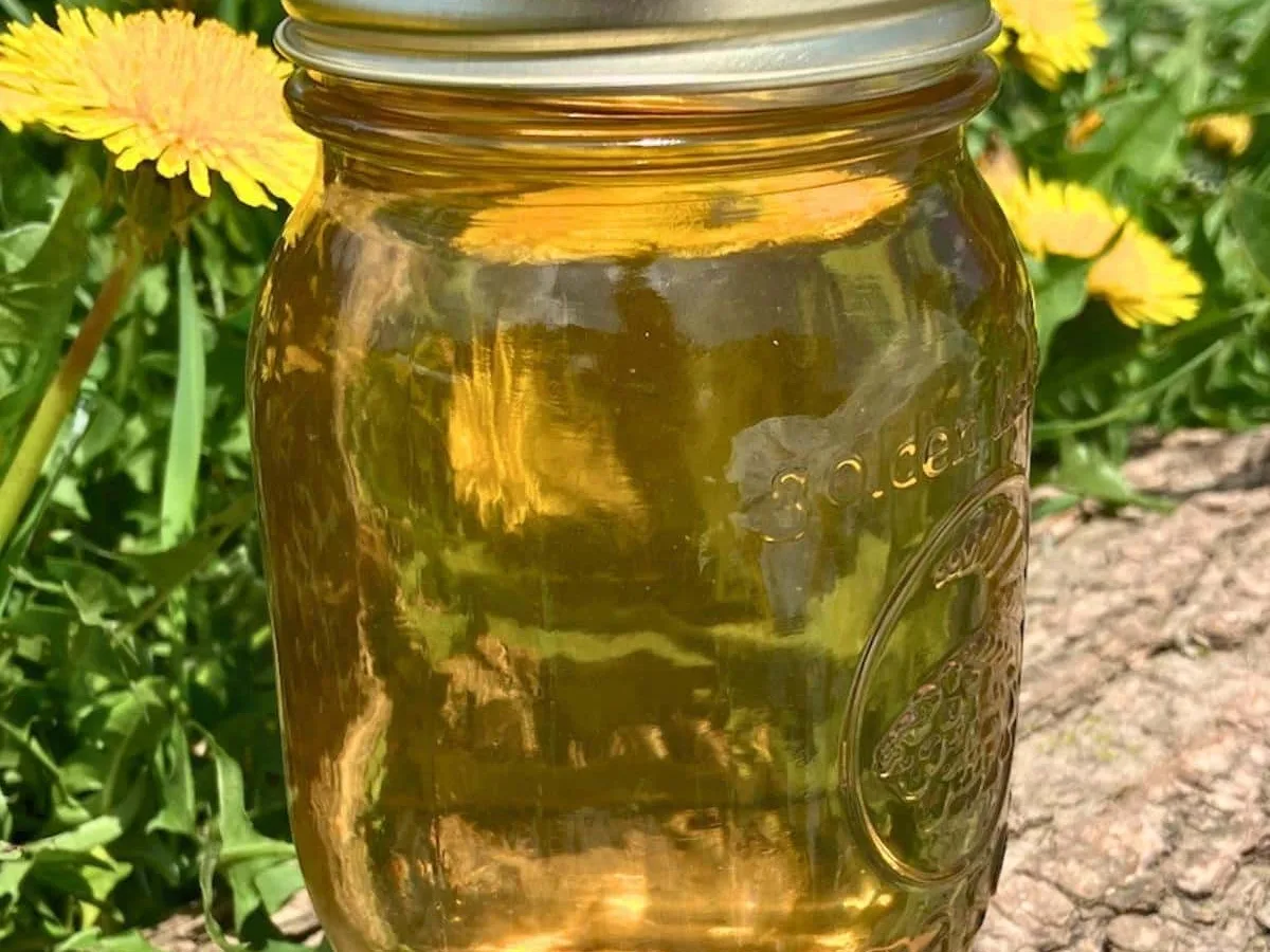 Dandelion Jelly
