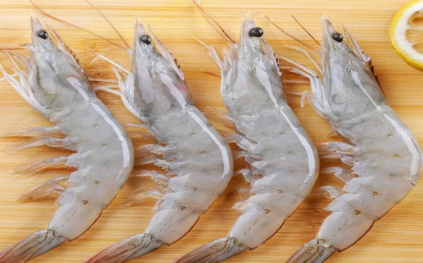 Dirty Bag Shrimp