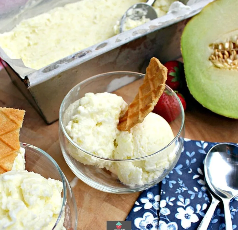 Easy Melon Ice