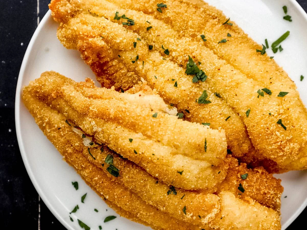 Geezer Catfish Of The