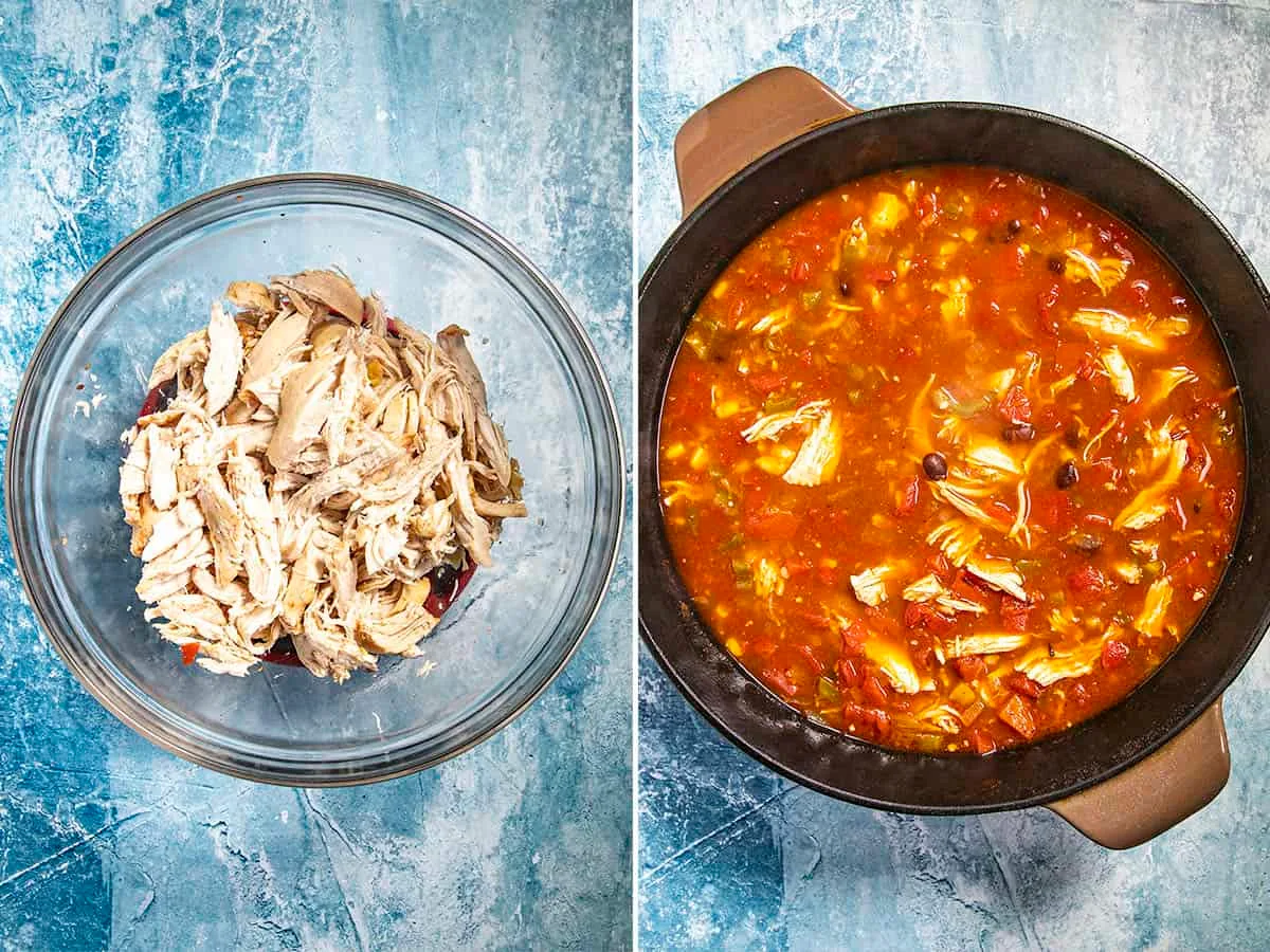 Geezer Tortilla Soup