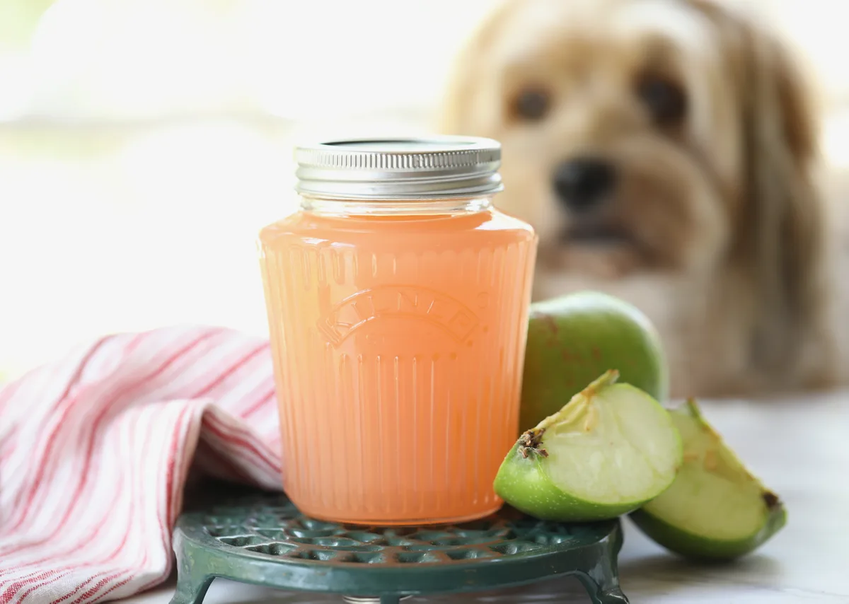 Homemade Pectin
