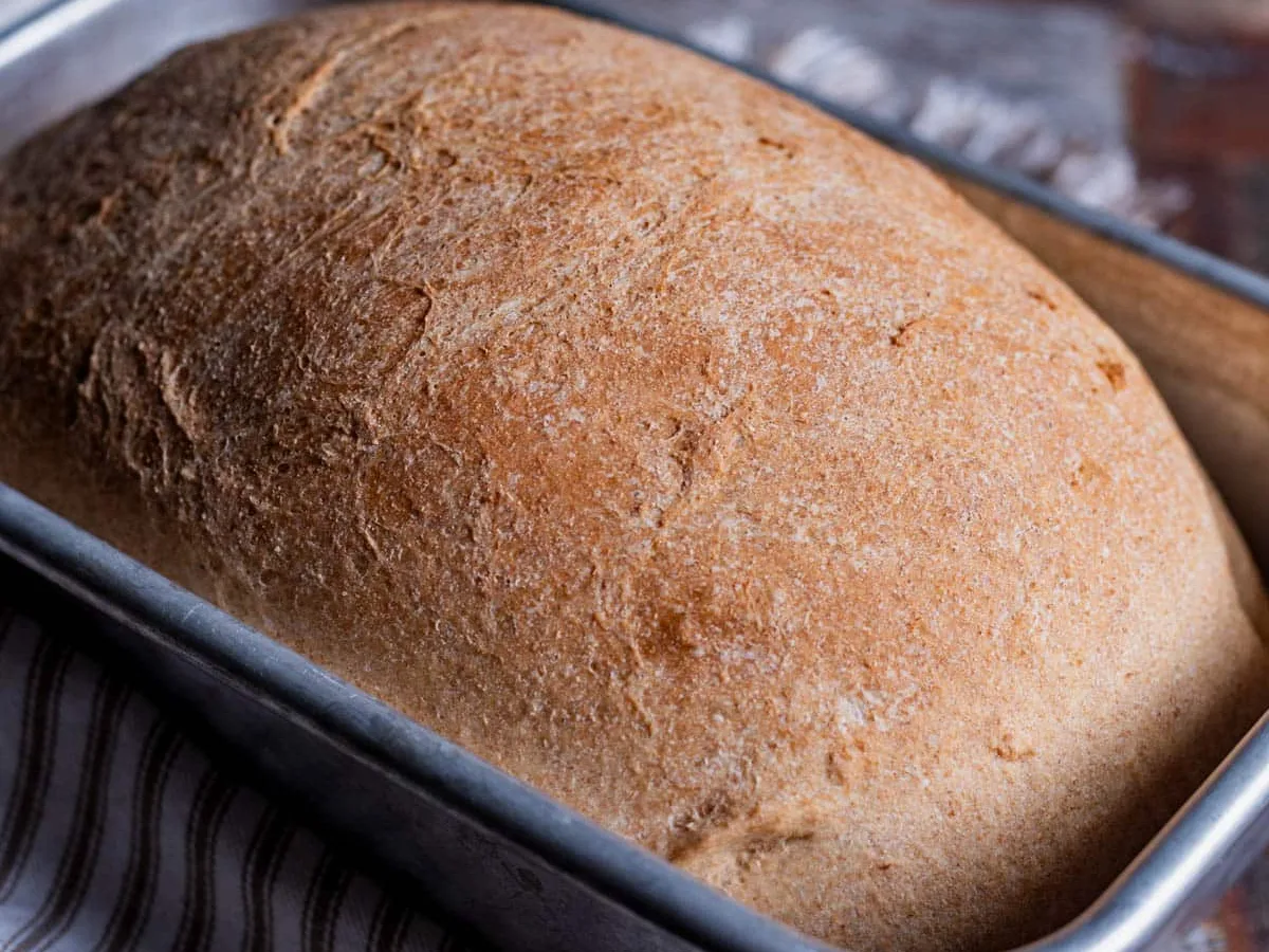 Honey Wheat Bread - in a Bag
