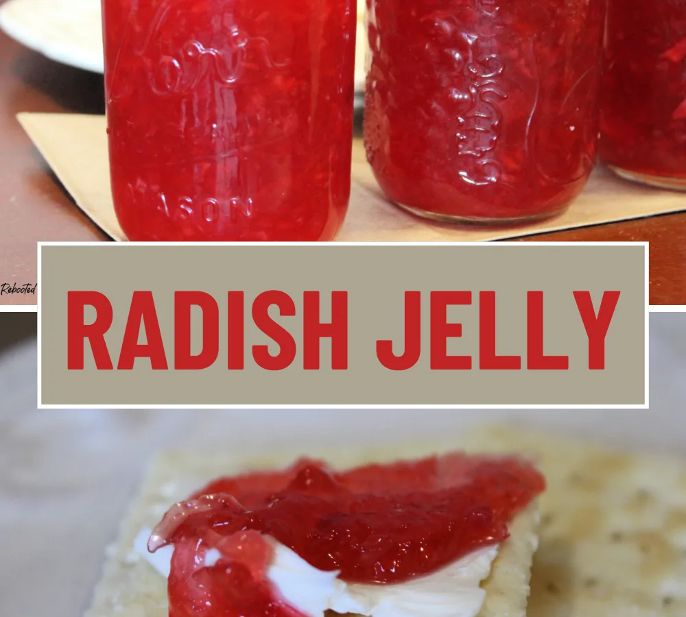 Horseradish Jelly