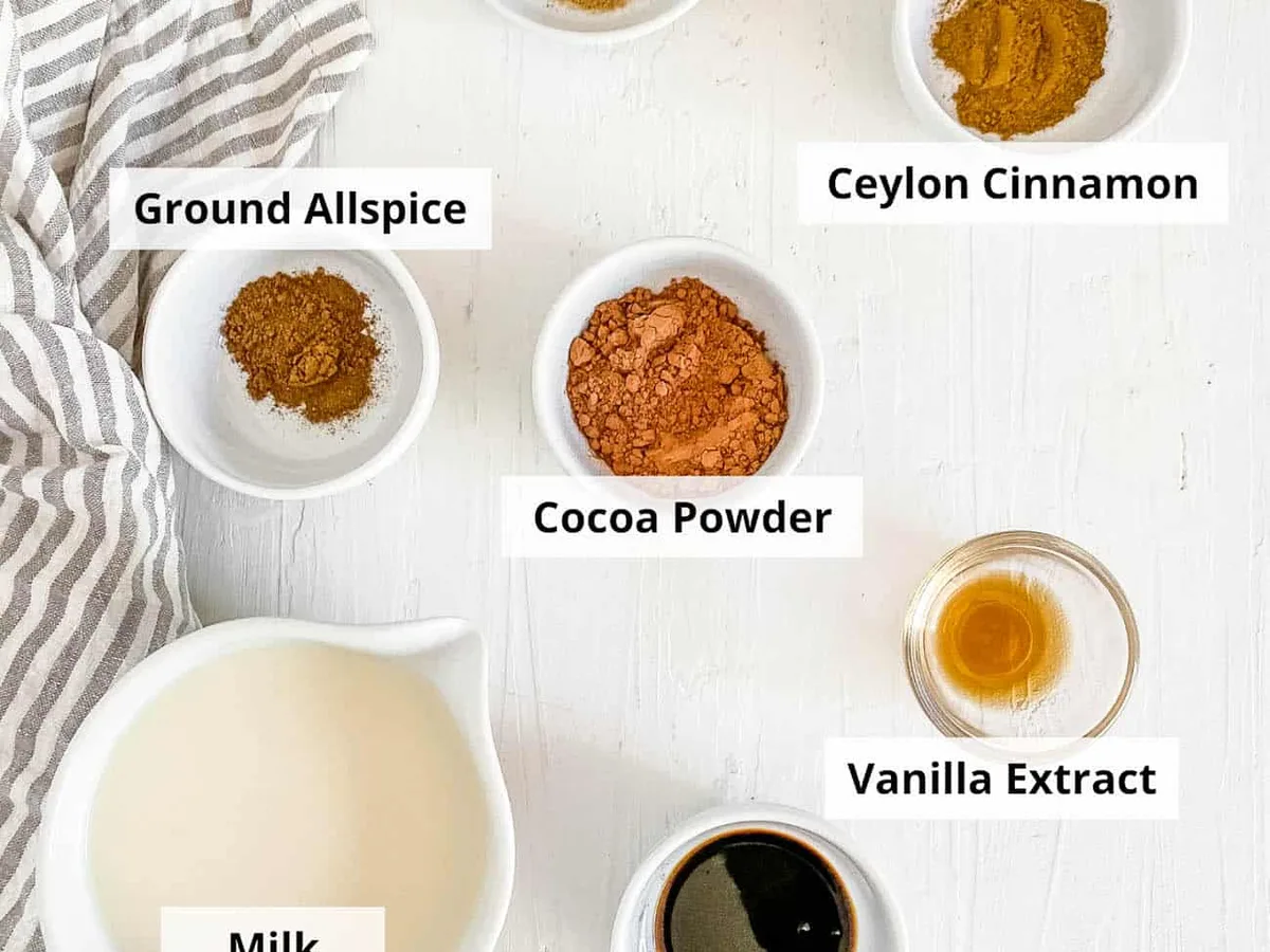 HOT CINNAMON COCOA MIX