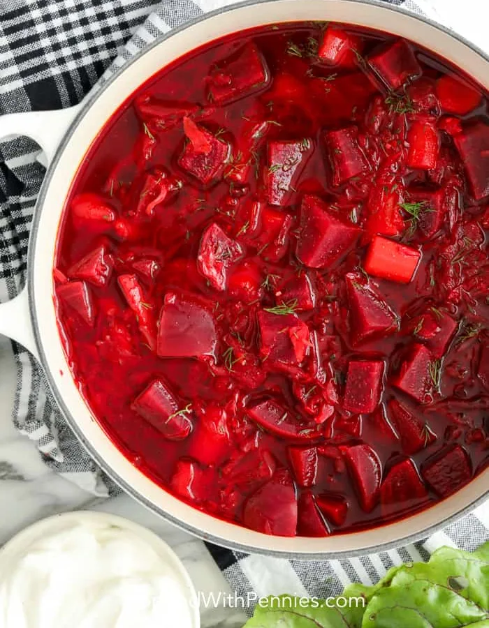 Irene's Hot Borscht