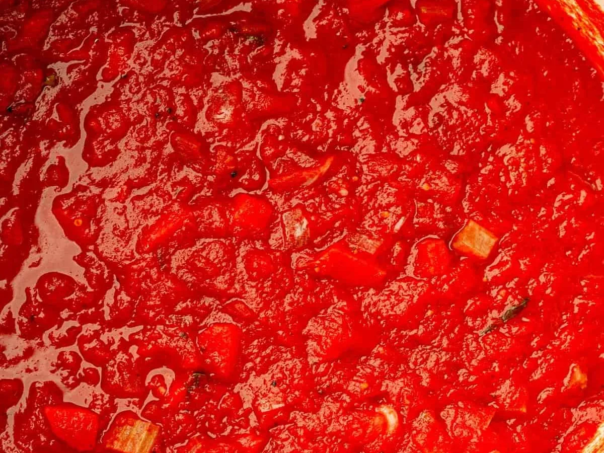 Italian Tomato Sauce with Pasta