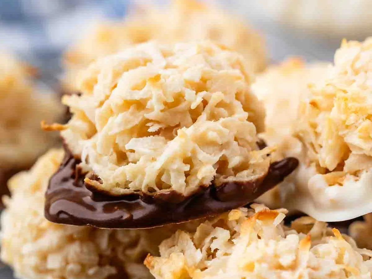 Macaroon Coconut-Oat Crust