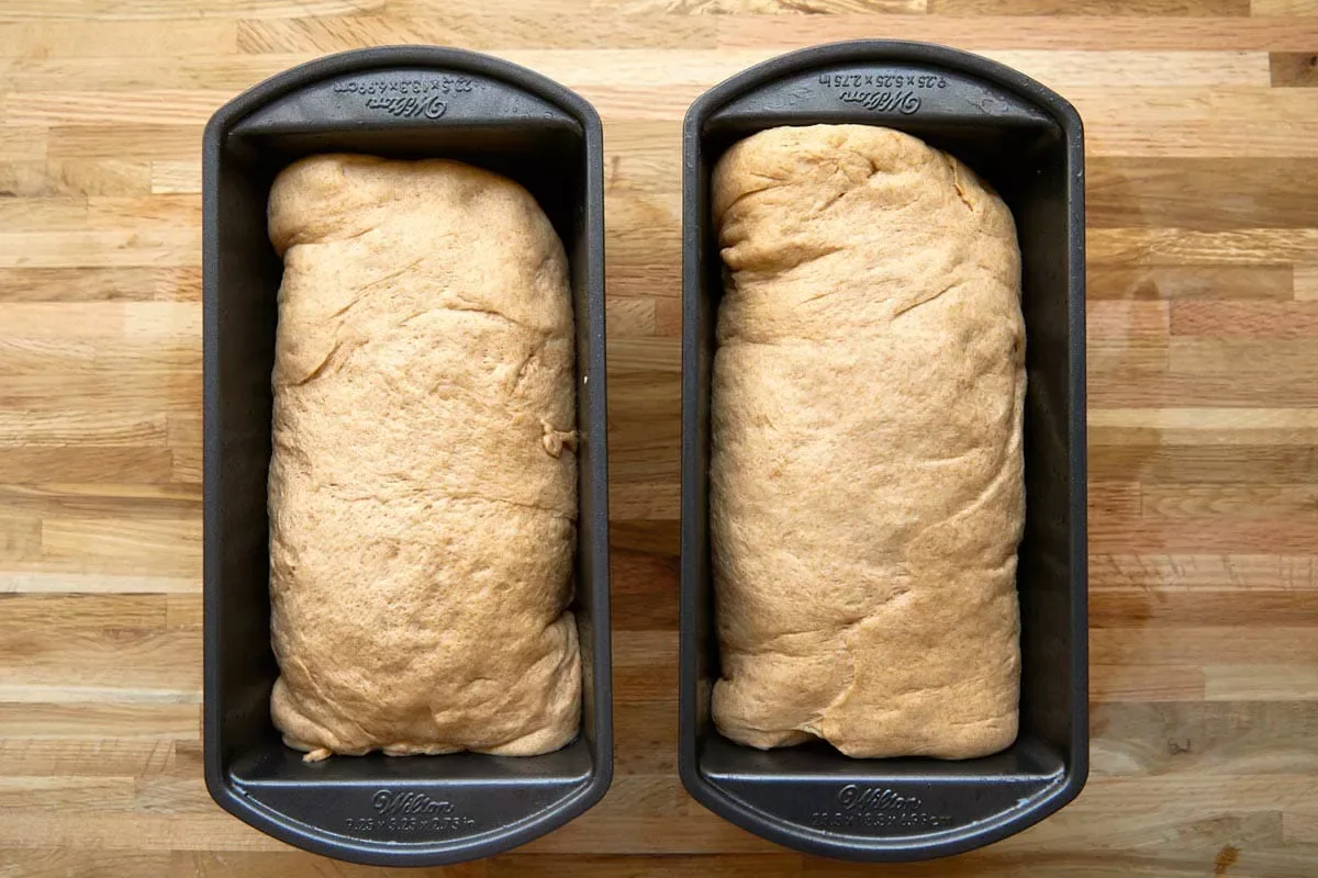 Mount Logan Bread