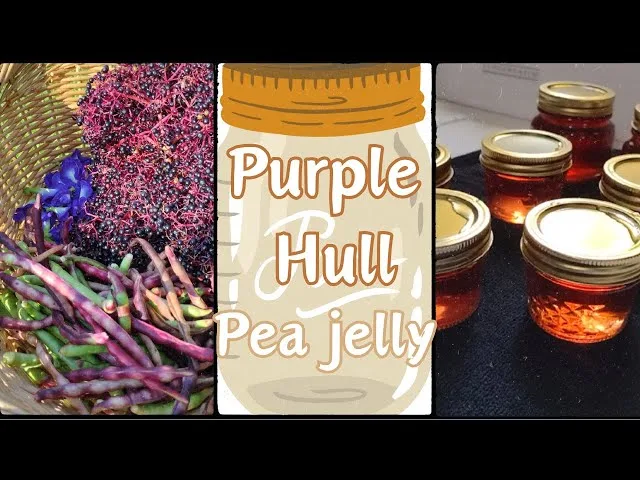 Purple Pea Hull Jelly