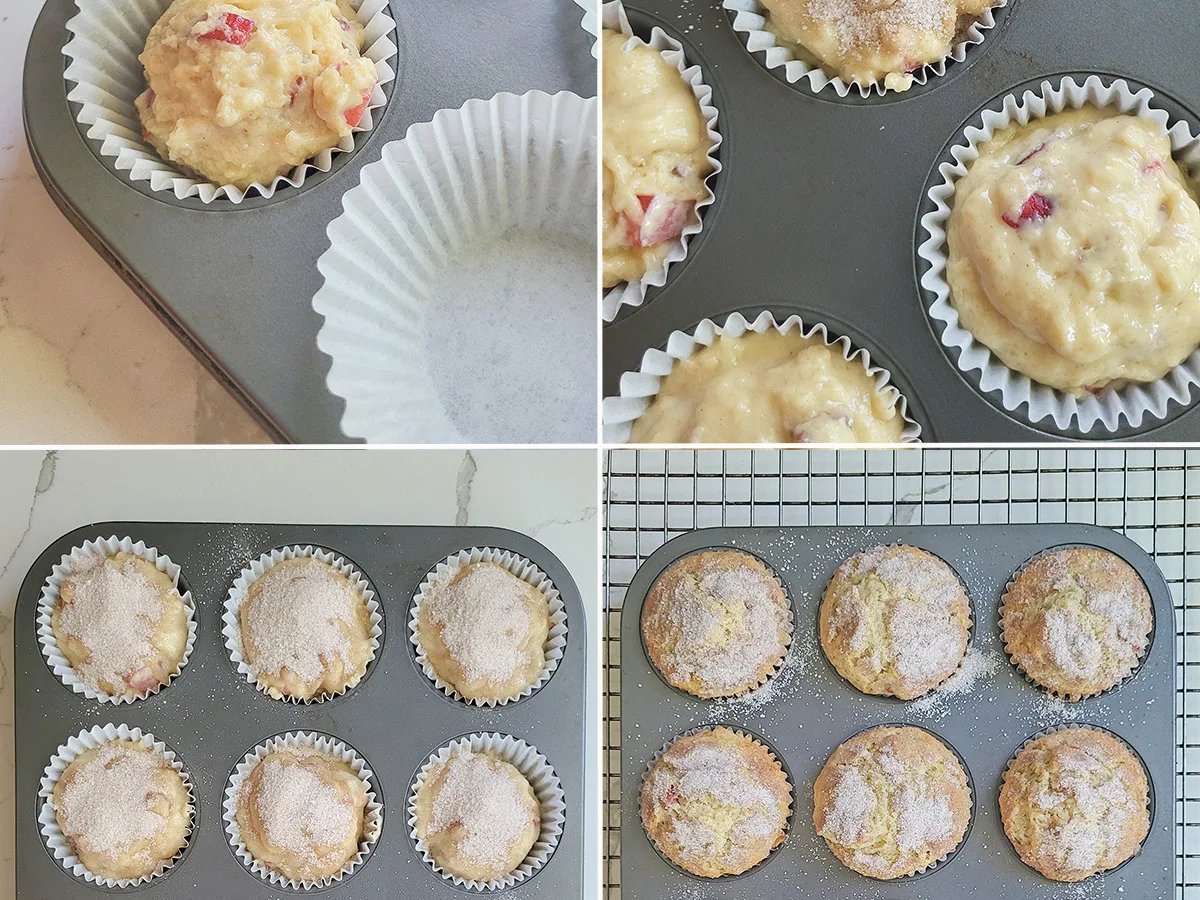 Rhubarb Muffins