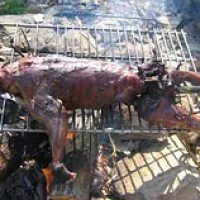 Roasted Possum