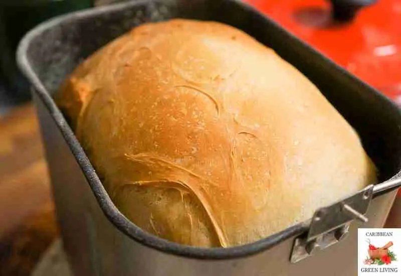 Sally Lunn