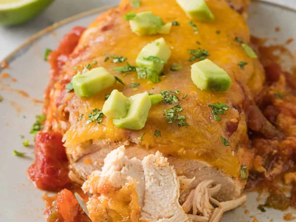 Salsa Chicken