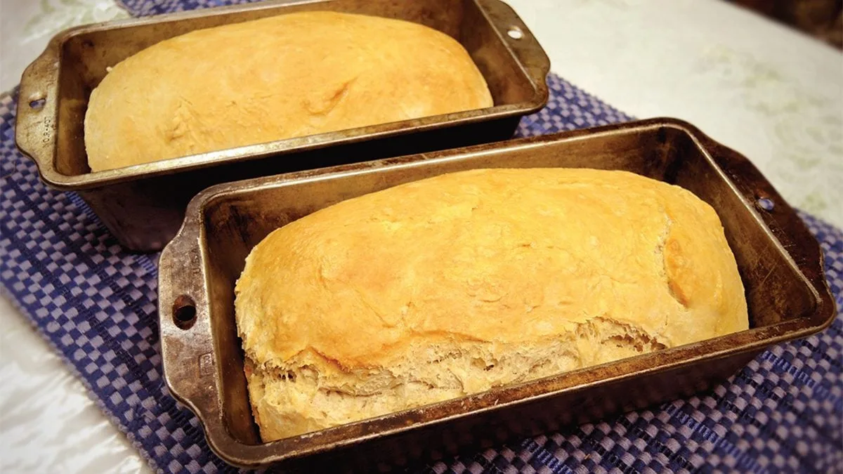 Salt Rising Bread