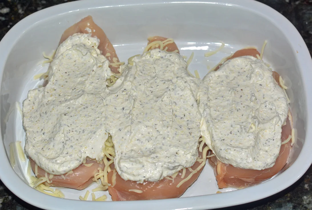Sour Cream Salsa Chicken