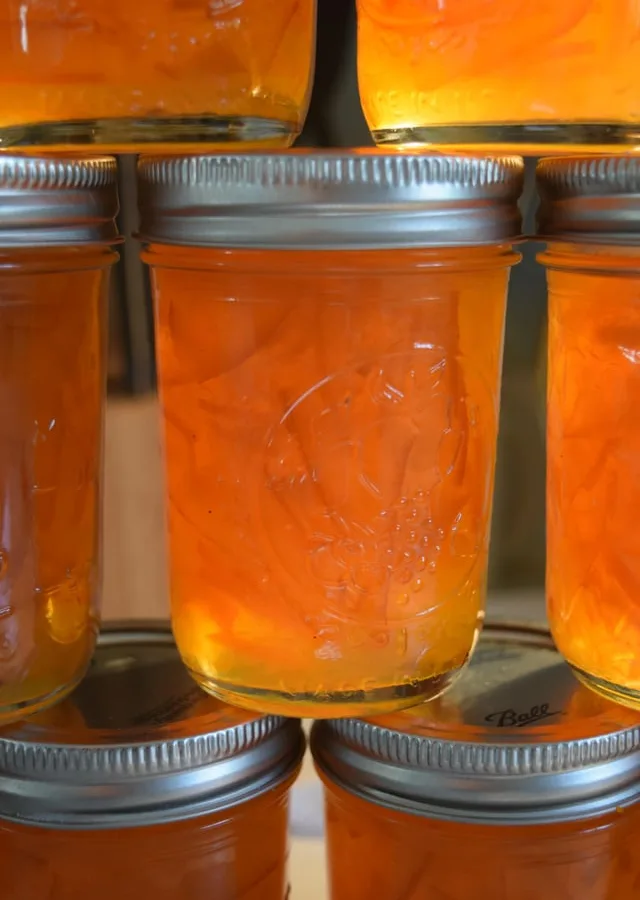 Sour Orange Marmalade
