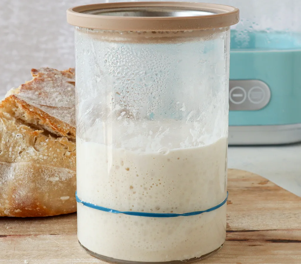 Sourdough Yogurt Starter