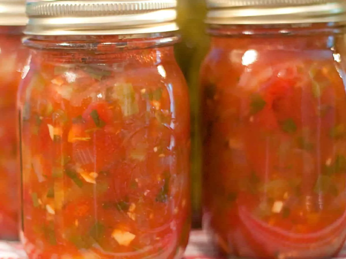 Southwestern Salsa Bread